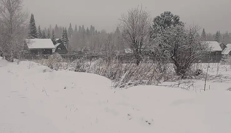 Дачи под Дивногорском в Красноярском крае завалило снегом