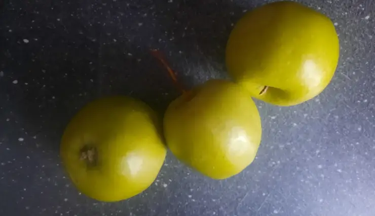 Красноярцам рассказали, как не дать порезанным яблокам потемнеть