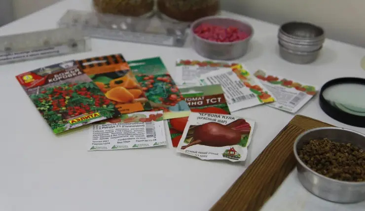 В магазине под Красноярском нашли свыше тысячи пакетиков семян несуществующих сортов