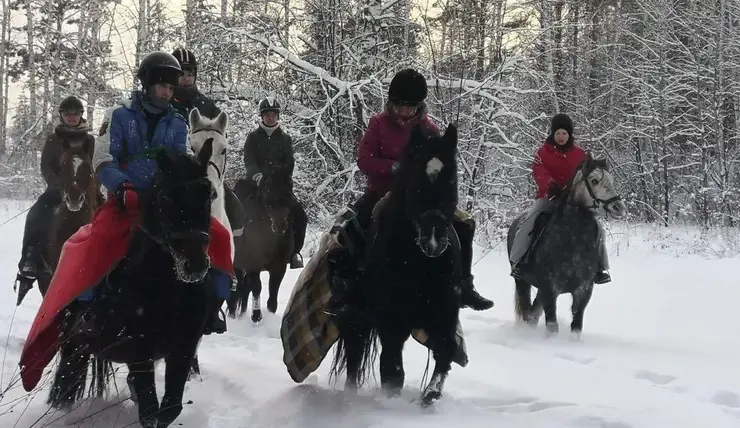 В Железногорске заблудившихся в лесах будут искать волонтеры на лошадях