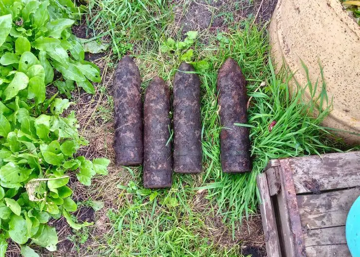В Красноярском крае мужчина в огороде выкопал 4 снаряда