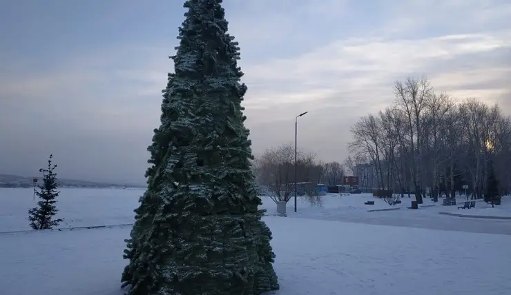 Шестиметровую елку установили в красноярском озере-парке «Октябрьский»