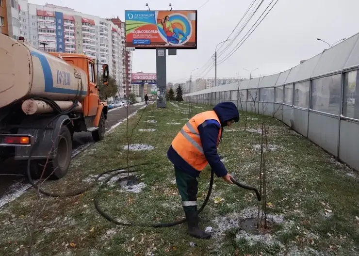 В Красноярске деревьям помогают накопить влагу на зимний период