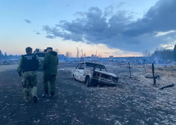 В Красноярском крае в пожарах 7 мая погибли 8 человек