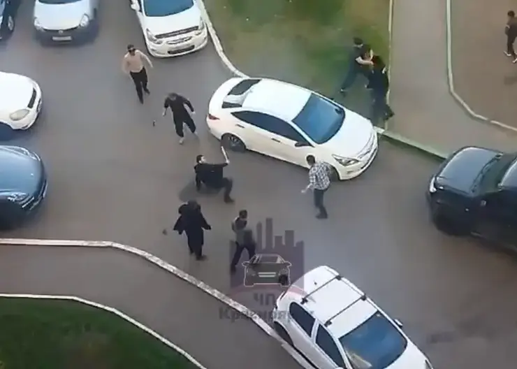 В Красноярске мужчины устроили во дворе массовую драку с топором и палкой
