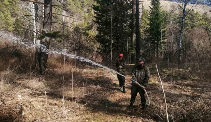 В Красноярске в апреле хотят закрыть «Столбы» из-за опасности пожаров
