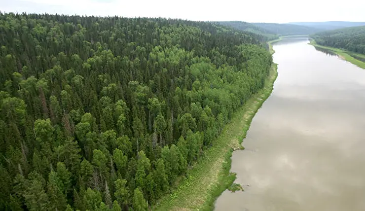 WWF предложил ограничить россыпную добычу золота на реках Красноярского края