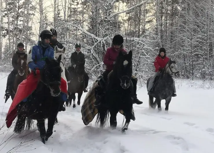 В Железногорске заблудившихся в лесах будут искать волонтеры на лошадях