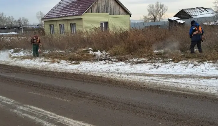 В администрации Красноярска рассказали, зачем косить траву зимой