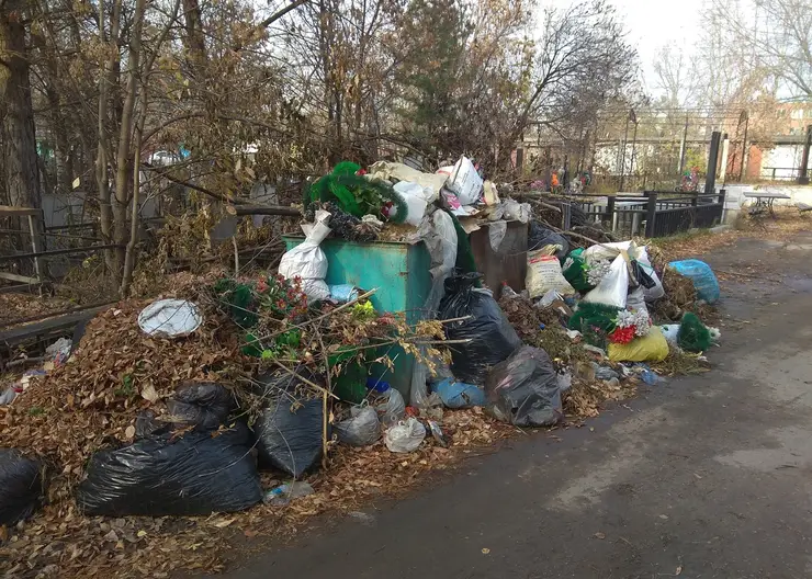 В Красноярском крае крыса поцарапала ребенка возле мусорных баков