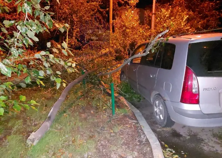 Сильный ветер в Красноярске повредил деревья, провода и автомобили