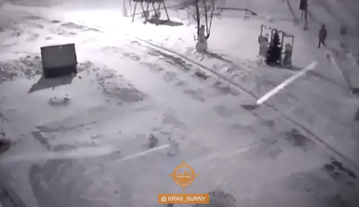 В Красноярске в Солнечном с территории детского сада мужчина украл елку
