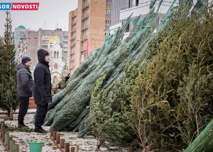 В Центральном районе Красноярска ёлочные базары откроются 15 декабря