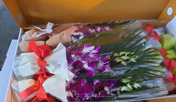 В Красноярск из Таиланда ввезли свыше 29 тысяч орхидей к 8 Марта
