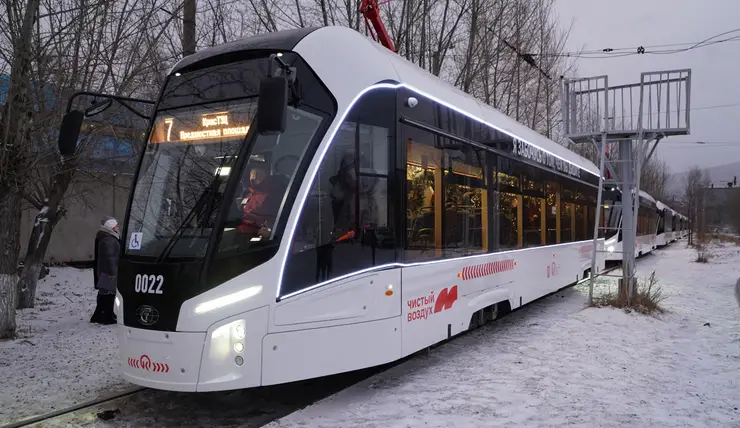 Трамваи «Львята» — уже год на маршрутах Красноярска