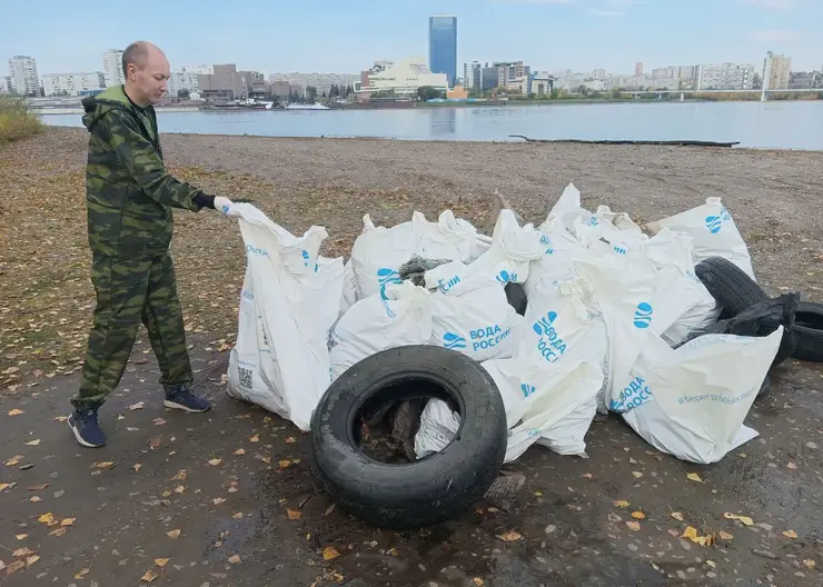В Красноярске с берегов Енисея вывезли около 2,5 тонн мусора