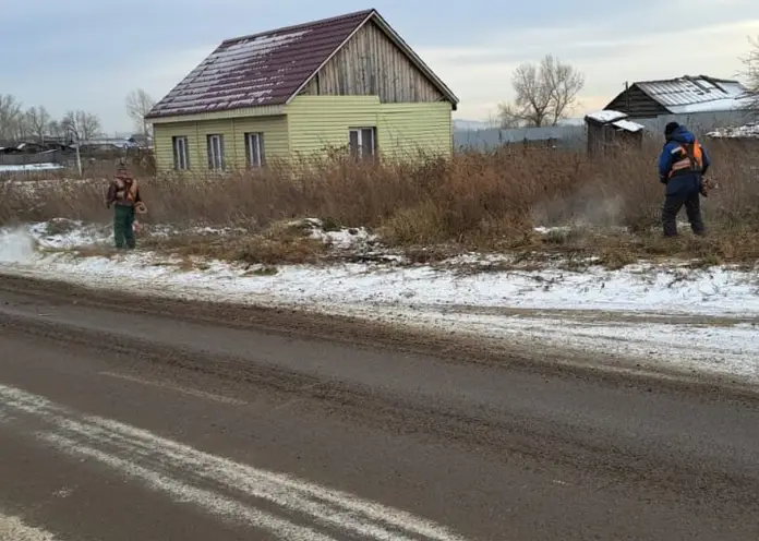 В администрации Красноярска рассказали, зачем косить траву зимой