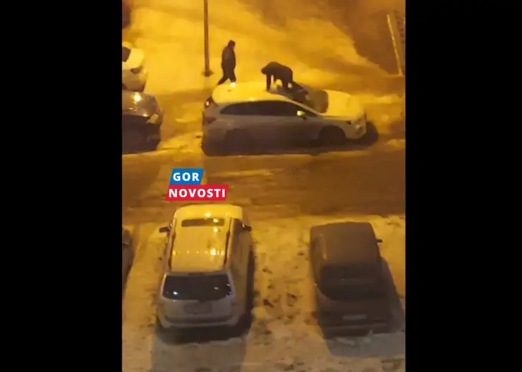 В Красноярске двое знакомых разбили автомобили друг друга из-за бытовой ссоры
