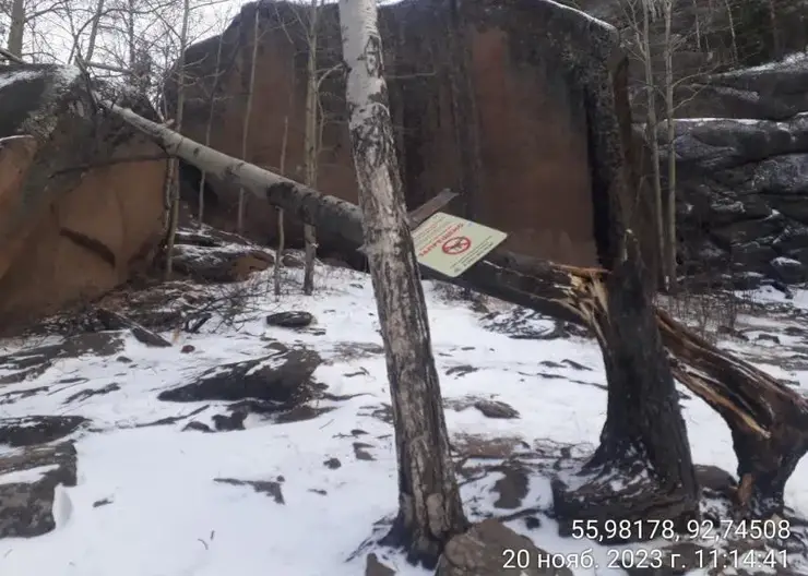 В Красноярске часть национального парка «Столбы» закрыли из-за прошедшего урагана