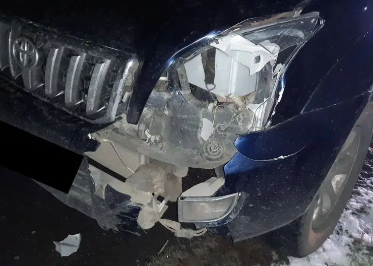 В отношении водителя, задавившего 15-летнего парня в Боготоле, возбудили уголовное дело