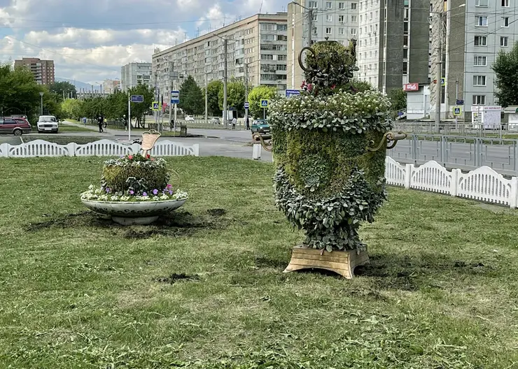 В Кировском районе Красноярска появился зеленый «чайный набор»