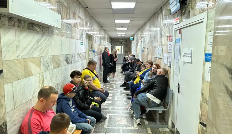 В травмпунктах Красноярска может появиться специалист для помощи пострадавшим от клещей