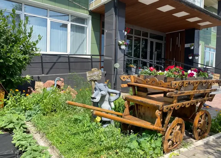 В Красноярске жители Советского района получили 3 миллиона рублей на озеленение дворов