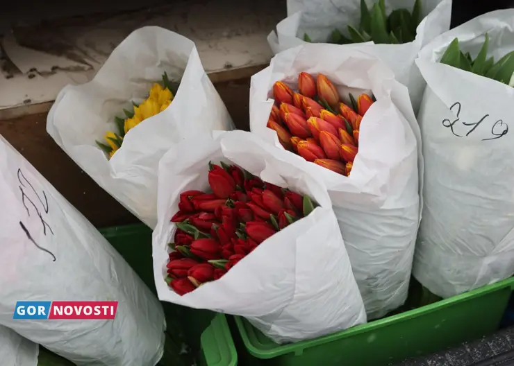 На улицах Красноярска начали продавать тюльпаны к 8 Марта