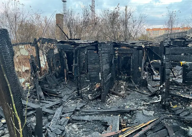 В Красноярске задержали возможного виновника пожара, в котором погибли четыре человека