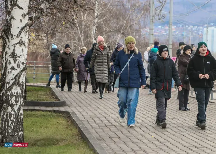 В Красноярске в День матери пройдет семейный форум