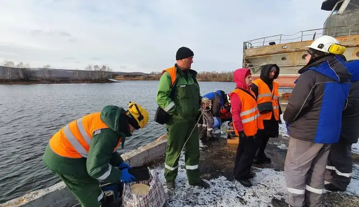 Энергетическая компания выплатит 14 млн рублей за загрязнение реки хлороформом в Красноярском крае