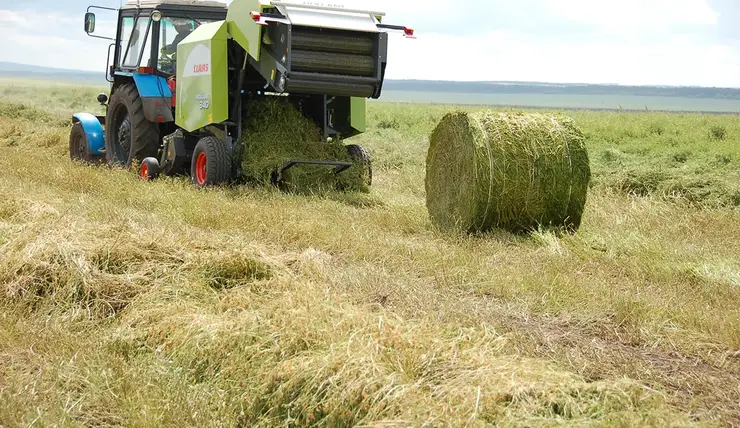 В Красноярском крае заготовили 37% зерна на зиму