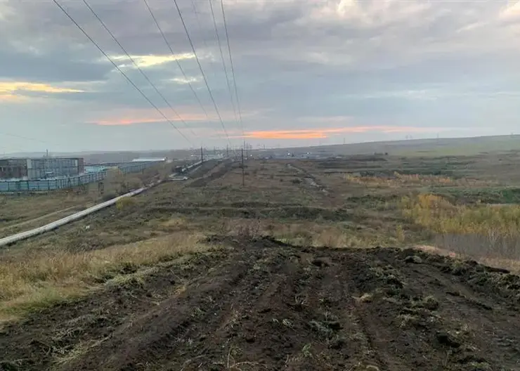 Красноярск защитят от лесных пожаров минерализованными полосами