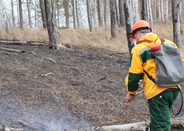 За сутки в Красноярском крае ликвидировали 2 лесных пожара