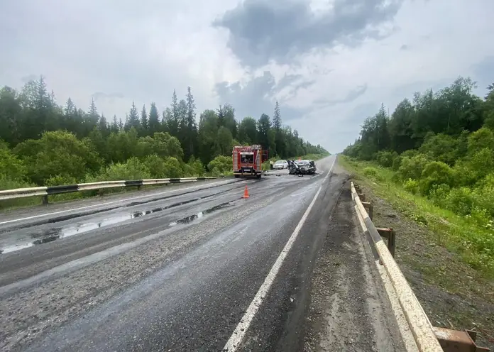 В Красноярском крае произошло смертельное ДТП с двумя 53-летними женщинами-водителями