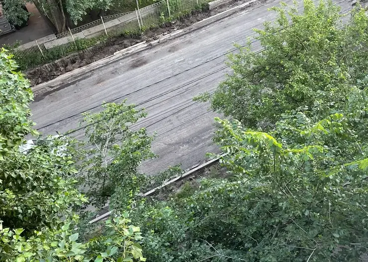 В Красноярске 3-летняя девочка оперлась на москитную сетку и выпала из окна 5-го этажа