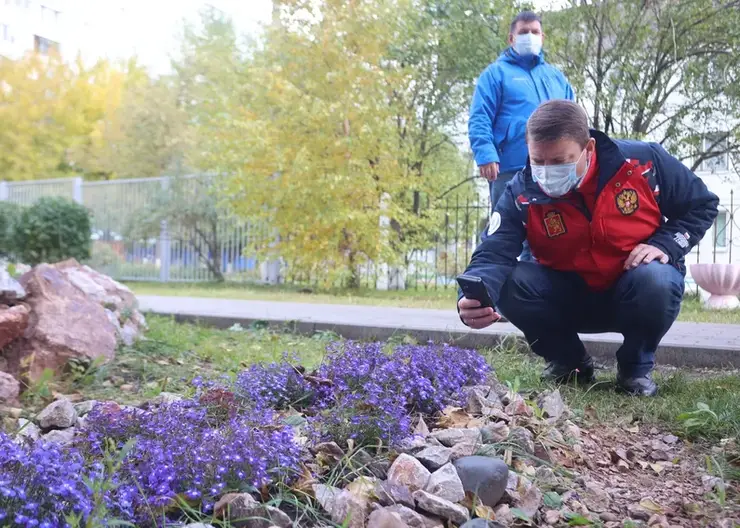 Сергей Ерёмин подвел итоги благоустройства в Солнечном