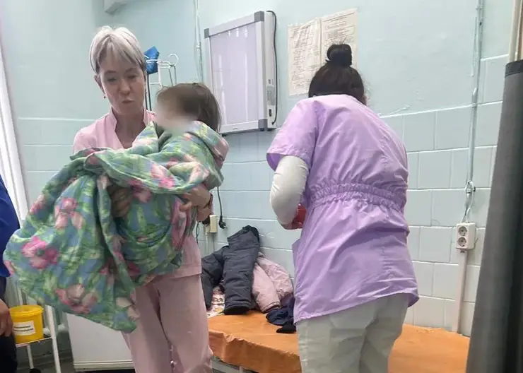 В Красноярском крае спасли замерзавшую на сельской дороге 4-летнюю девочку