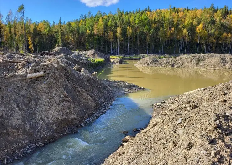 В Красноярском крае золотодобывающее предприятие загрязняло реку