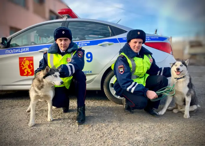 В Красноярске экипаж полка ДПС провел обеденный перерыв с питомцами приюта