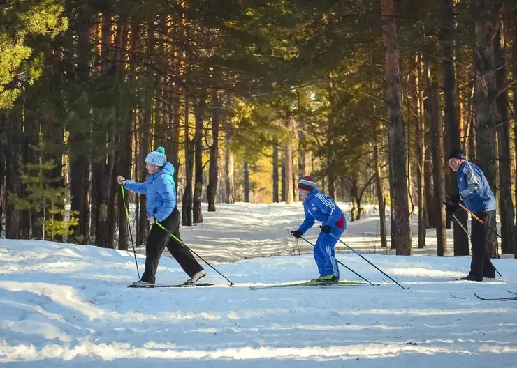 В Красноярске пройдет любительская лыжная гонка в честь юбилея Универсиады-2019