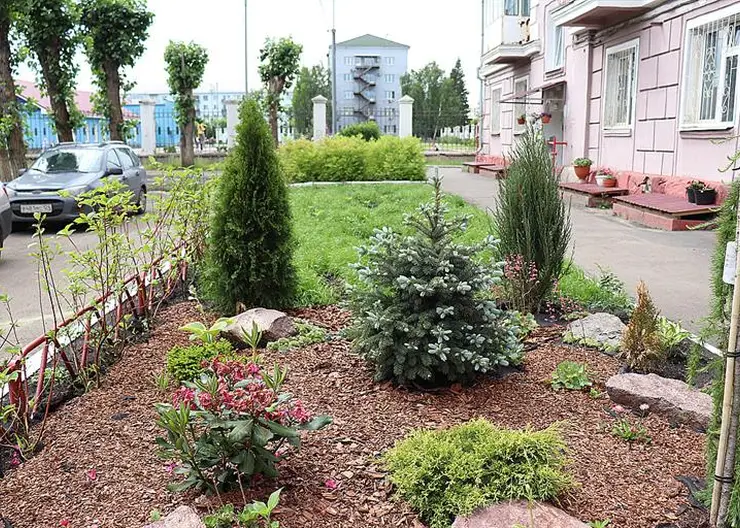 Красноярцы могут получить грант в 100 тысяч рублей на озеленение двора