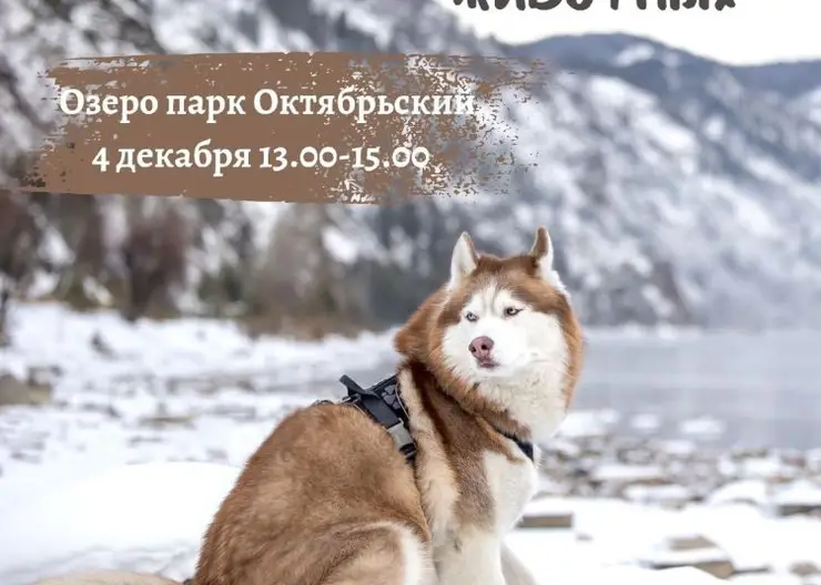 В Красноярске 4 декабря отметят День домашних животных