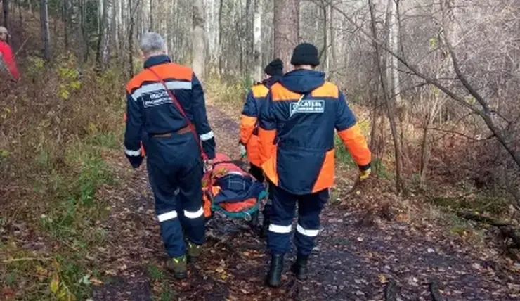 В нацпарке «Красноярские Столбы» травмировалась 46-летняя туристка