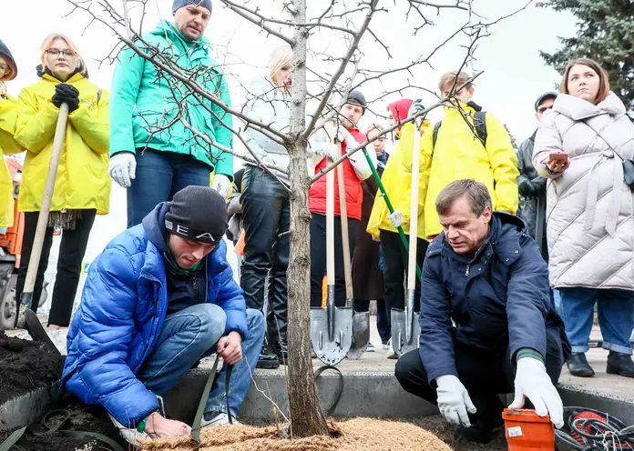 В Центральном парке Красноярска высадили абрикосы и груши