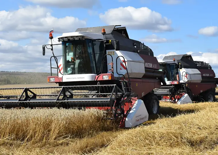 В Красноярском крае аграрии собрали более двух миллионов тонн зерна