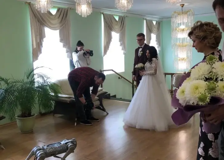 В Красноярском крае робопес принес кольца жениху и невесте