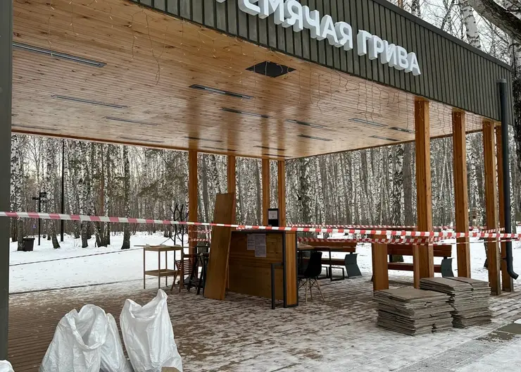 В Красноярске в «Гремячей гриве» на месяц закрыли два визит-центра и туалет