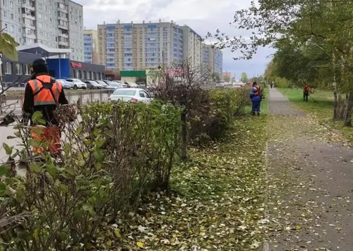 В Красноярске продолжают косить траву