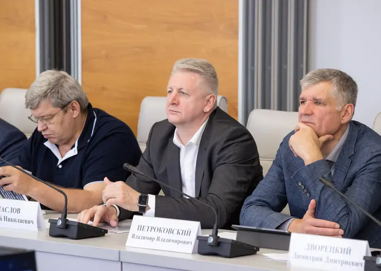 В Красноярске депутаты обсудили перспективы развития профессиональных спортивных клубов